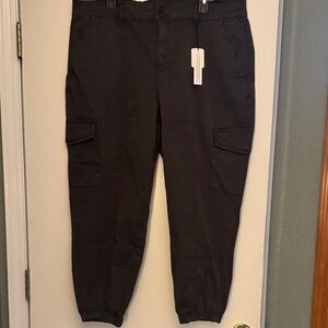 Sanctuary Rebel Crop Pants NEW 18W